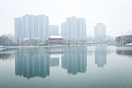 雪景