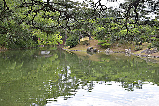 斑点,公园,日本