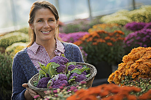 女人,拿着,器具,紫色,发芽,花椰菜,开花植物