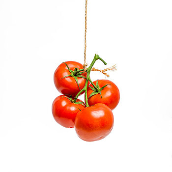 西红柿,白色背景,抠像,法国,欧洲