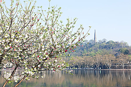 杭州,西湖