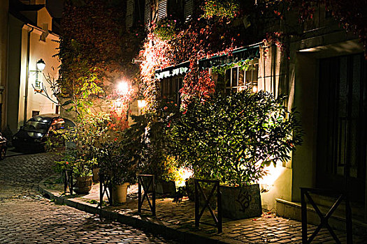 盆栽,人行道,夜晚,巴黎,法国