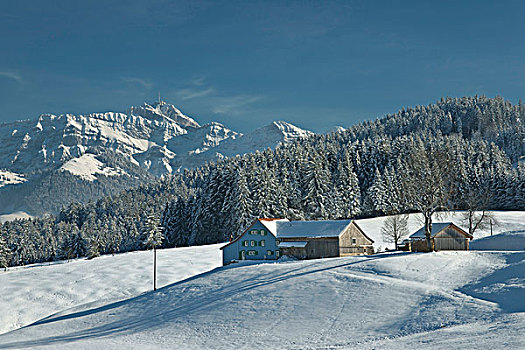冬天,风景,阿彭策尔,农场,山,瑞士,欧洲