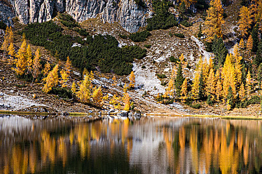 高山湖,反射,秋天,彩色,白云岩,意大利