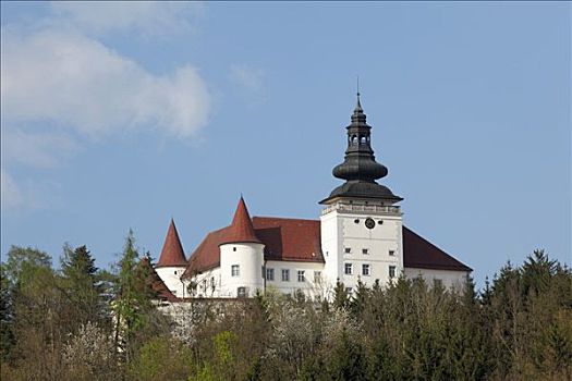 城堡,上奥地利州,奥地利,欧洲
