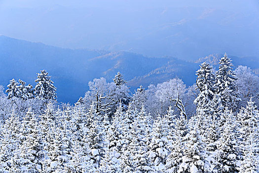 吉林省仙峰国家森林公园雪凇雪景