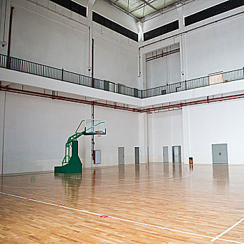 篮球场,学校,健身房,室内