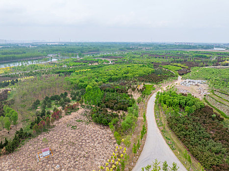 济南鹊山龙湖湿地