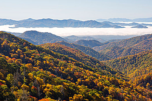 北卡罗来纳,大烟山国家公园,风景,间隙,道路