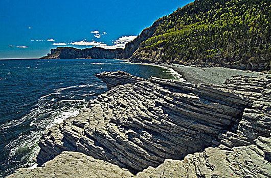 岩石,海岸线,佛罗伦国家公园,魁北克,加拿大