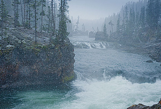 黄石国家公园,yellowstonenationalpark