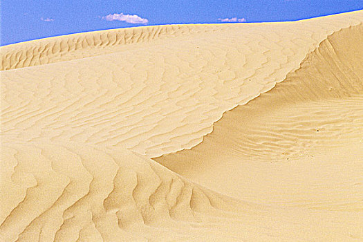 沙丘,沙子,山,萨斯喀彻温,加拿大