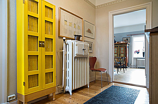 大厅,展柜,黄色,靠近,暖气,敞门,景色,客厅