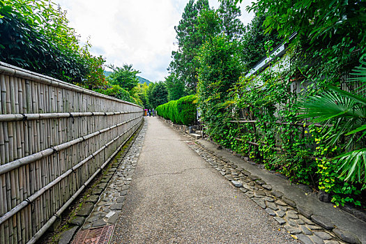 日本京都嵯峨野岚山竹林风光