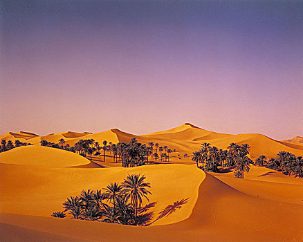 沙漠,沙丘,手掌