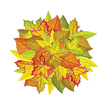 秋叶,矢量,概念,设计,球,彩色,叶子,枫树,柳树,菩提树,树,白色,留白,照片,装饰,自然,季节,广告,秋天
