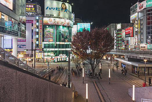 日本东京新宿商业区夜景