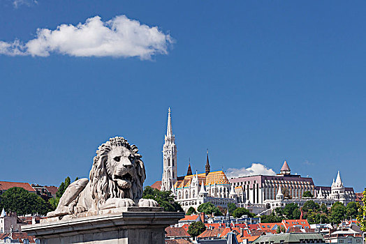 狮子,雕塑,链索桥,风景,马提亚斯教堂,棱堡,酒店,城堡,山,布达佩斯,匈牙利