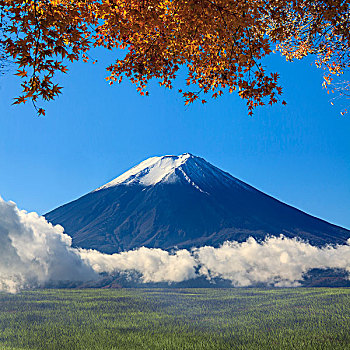 图像,神圣,山,富士山,背景,日本