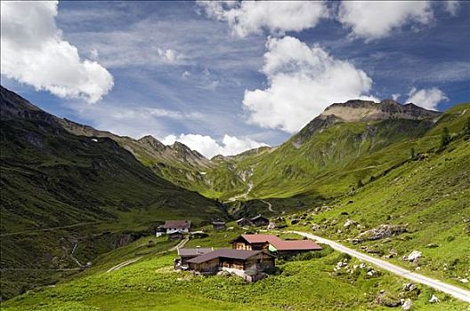 高山牧场,山谷,提洛尔,奥地利,欧洲