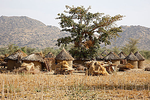 乡村,圆,小屋,靠近,喀麦隆,非洲
