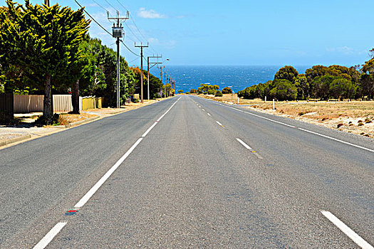 乡间小路,夏天,岬角,半岛,南澳大利亚州,澳大利亚