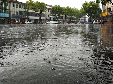 梅雨,防台防汛