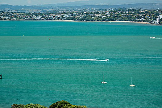 新西兰游艇