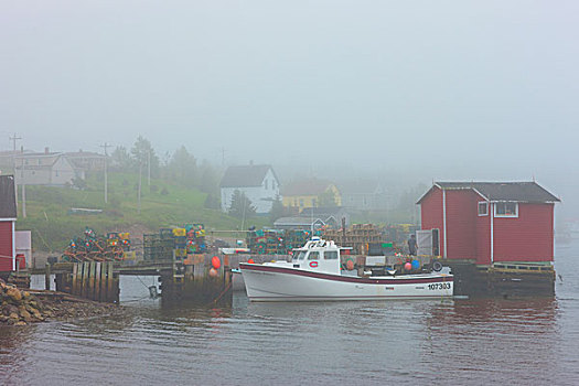 渔船,停靠,码头,雾,露易斯堡,布雷顿角,新斯科舍省,加拿大