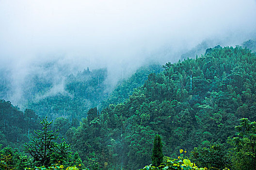 雨雾山景