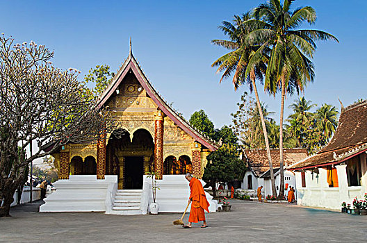 僧侣,打扫,寺庙,早晨,寺院,琅勃拉邦,世界遗产,老挝,印度支那,亚洲