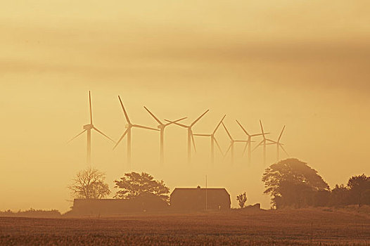 丹麦,农场,斯堪的纳维亚,田园景色,房子,涡轮,农作物,能量,能源制造,环境保护