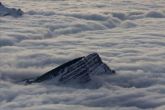 雾,围绕,顶峰,山,瑞士,欧洲