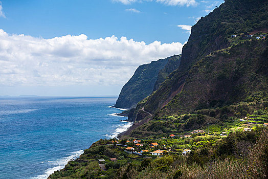 悬崖,马德拉岛,葡萄牙,欧洲