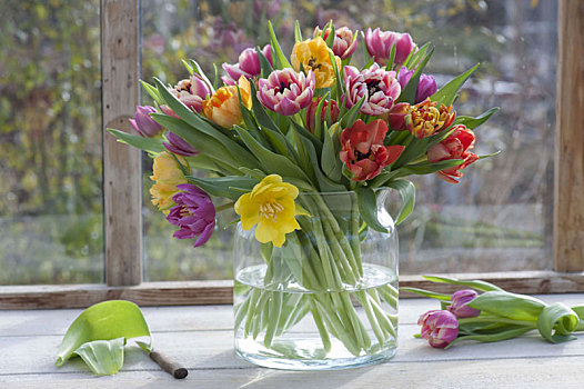 花束,盛开,郁金香属,郁金香,宽,玻璃花瓶