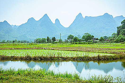 田园风光