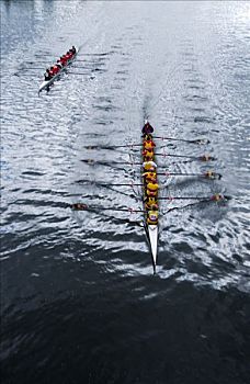 头部,赛舟会,运河,彼得伯勒,安大略省,加拿大