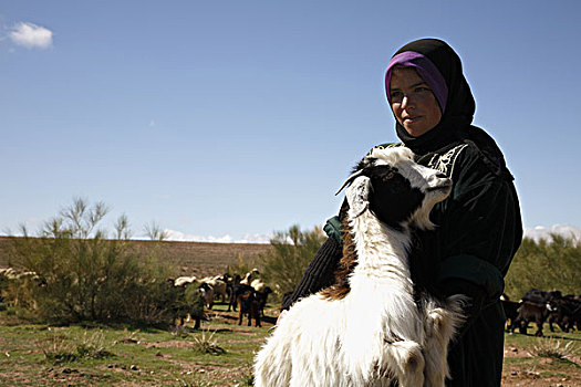 非洲,北非,摩洛哥,阿特拉斯山区,达德斯谷,女人,牧羊人,拿着,山羊