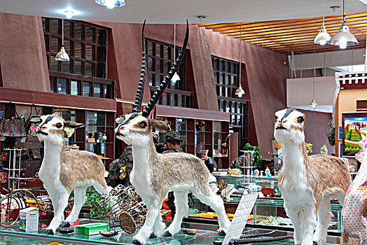 藏羚羊模型