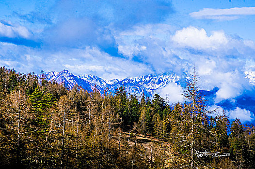 白马雪山