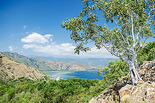 海岸,靠近,帝力,东帝汶