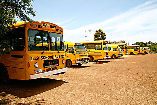 学校,巴士,南澳大利亚州,澳大利亚