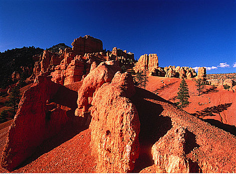 怪岩柱,红色,峡谷,国家森林,荒地,犹他,美国