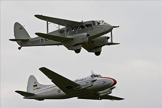 鸽子,大,旧式,飞机,会面,巴登符腾堡,德国