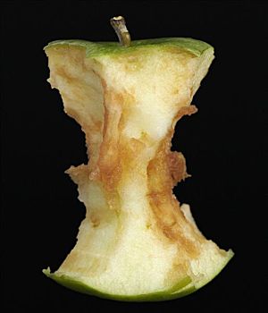 苹果核