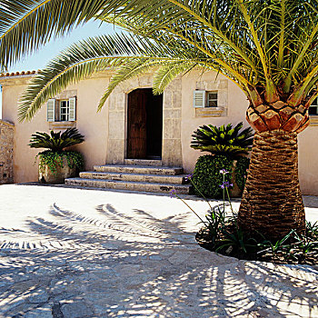 棕榈树,正面,地中海,房子,敞门,石头