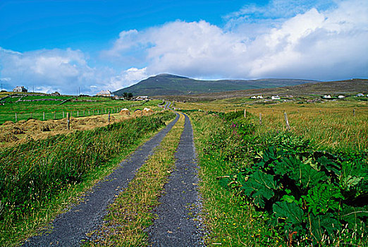 乡村道路,爱尔兰
