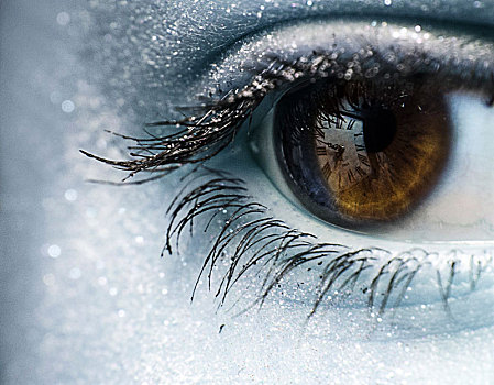 女性,棕色眼睛,遮盖,雪,灰色,照片