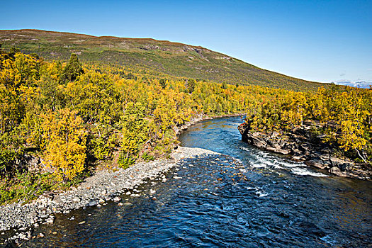 河,秋景,国家公园,北博滕省,拉普兰,瑞典,欧洲