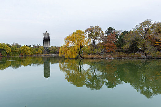 北京大学景色